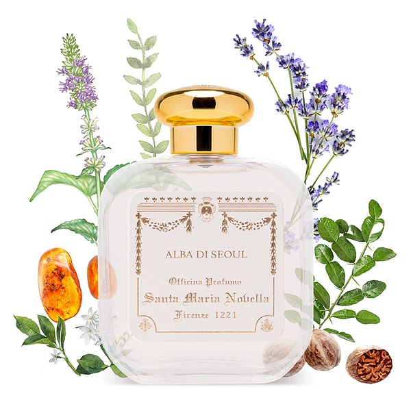 알바 디 서울 오드코롱 100ml 6312967001800