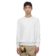 [UNISEX]V LOGO BASIC R-NECK PULLOVER_V31C1SR101_WH