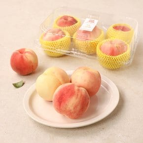 아삭한 복숭아 1.2kg (4~6입) 팩