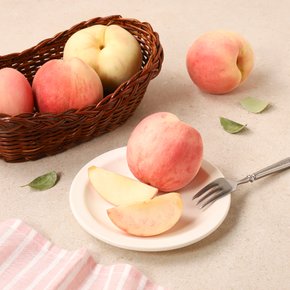 아삭한 복숭아 1.2kg (4~6입) 팩