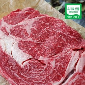 유기농 인증받은 건강한 우리 한우 등심(구이용) 500g