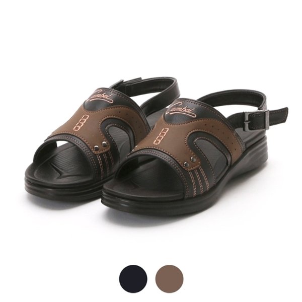 확대된 대표 image1