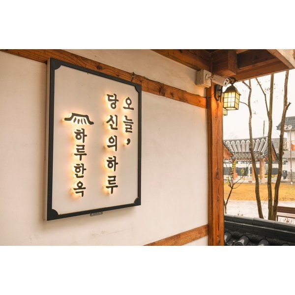 확대된 대표 0