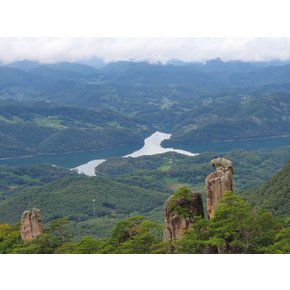 [제천시] 제천 별밤차박캠핑장