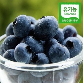 [유기농] 당일수확 충남직송 생 블루베리 1kg(특대과,17mm이상)