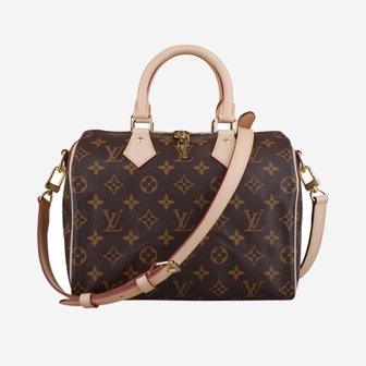 LOUIS VUITTON 스피디 반둘리에 모노그램 25 토트백 M41113 M41113