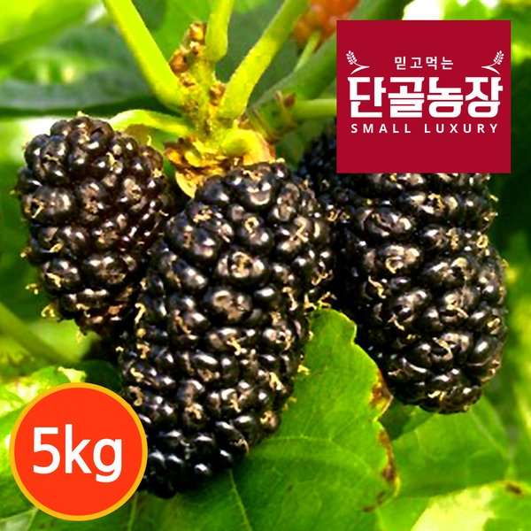 상품 이미지1