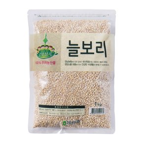 [건강잡곡] 화성 정남농협 늘보리 1kg