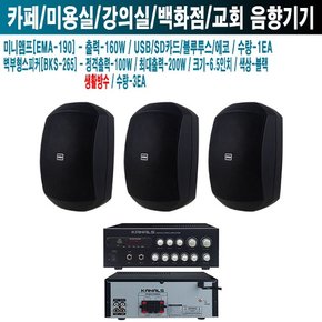 이자카야 카날스 앰프 스피커 EMA-190 BKS-265 B-2