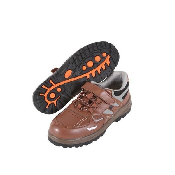 확대된 대표 image1