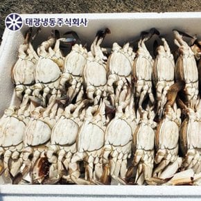 냉동 알배기 암꽃게 5kg (23마리 내외) 봄어획