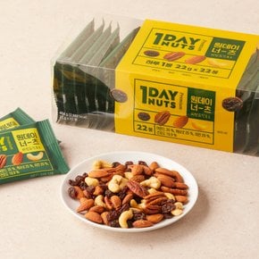 원데이너츠 피칸&건포도 484g(22g*22봉)