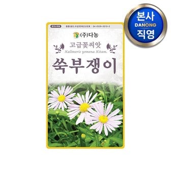 다농 쑥부쟁이꽃 씨앗 1.5g . 조경 정원 화단 꽃밭 관상용 야생화 키우기 꽃씨 종자