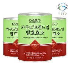 맛있는 카무트 발효 효소 분말 2.5gx30포 3통 카무트효소 곡물 호라산밀