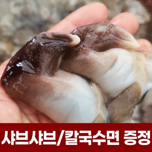 상품이미지1