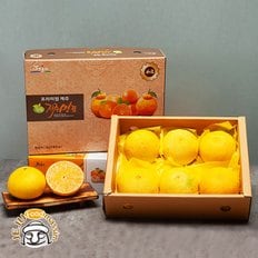 서귀포 현가원 황금향 2kg (6-10과, 실중량)