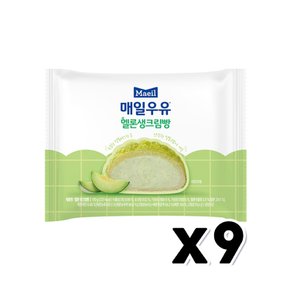 매일우유 멜론생크림빵 베이커리빵 110g x 9개