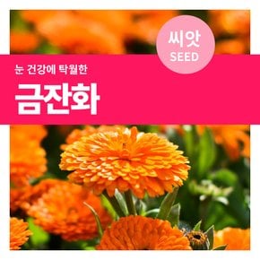 금잔화 꽃씨 씨앗 50립