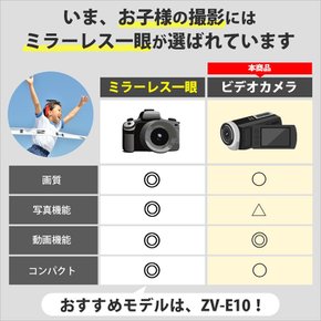 소니 4K 캠코더 Handycam FDR-AX60 블랙 64GB FDR-AX60