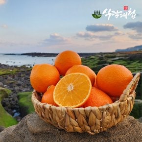 예래마을 제주 천혜향 특품 3kg 중과