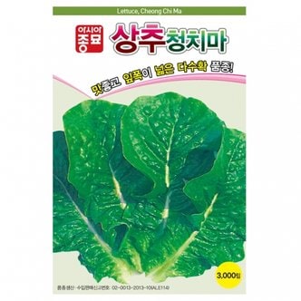 아시아종묘 상추씨앗종자 청치마(3000립)