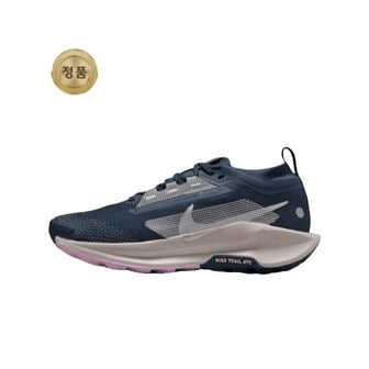 나이키 매장정품 나이키 NIKE 공식브랜드관 여성 페가수스 트레일 5 GORE-TEX FQ0912-400 1563215