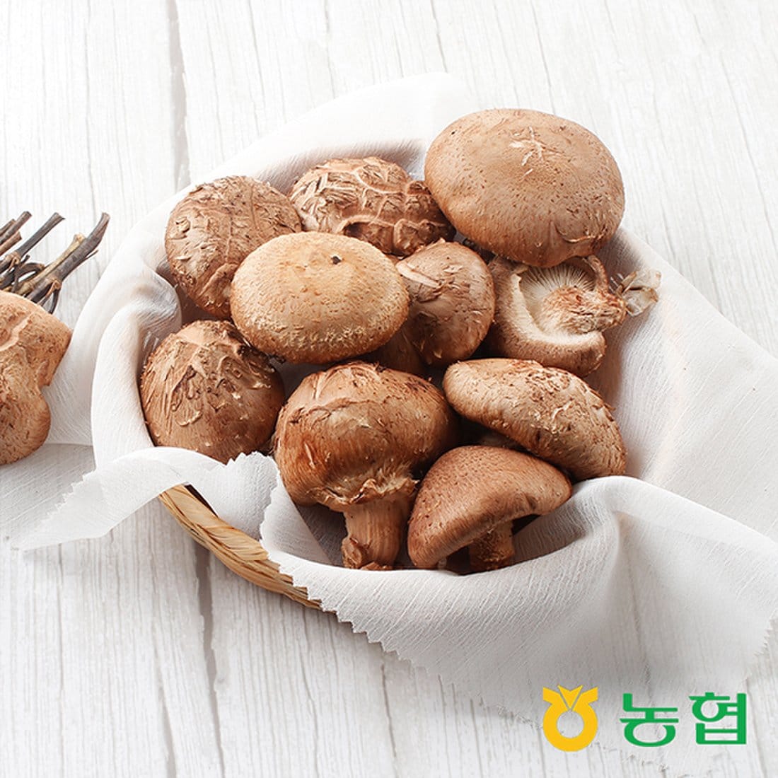 [특가상품][장흥정남진농협] 생표고버섯 2kg, 믿고 사는 즐거움 SSG.COM