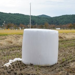 캠핑 짚불 식당 지푸라기 초벌구이