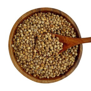 헬로우그린 고수씨 500g(팩) 코리앤더 씨드