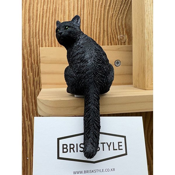 검은 고양이 꼬리 메모 카드 홀더