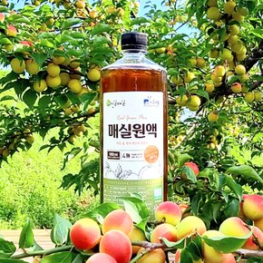 [광양진실매실] 진실매실 매실원액 1000ml x 1병
