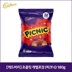 네이쳐굿 캐드버리 초콜릿 개별포장 (피크닉) 180g