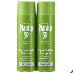 플란투어39 파이토카페인 샴푸 250ml x 2개 cos