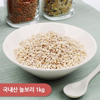 건강한밥상 국내산 늘보리 1kg