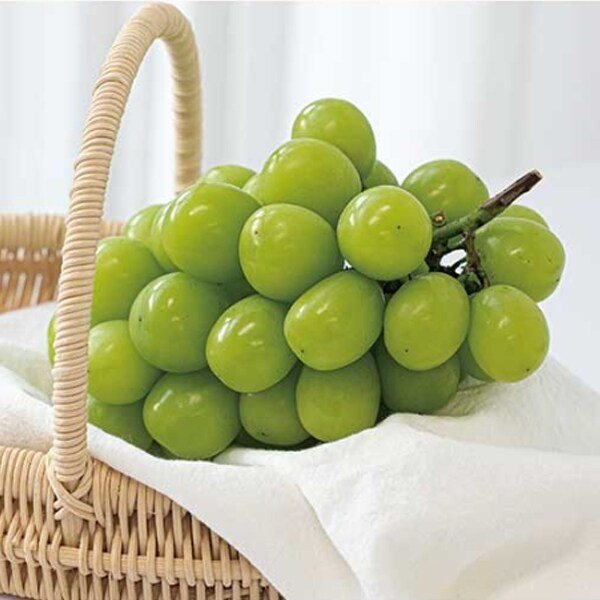 고당도 샤인머스켓 특품 1kg (1-2수)