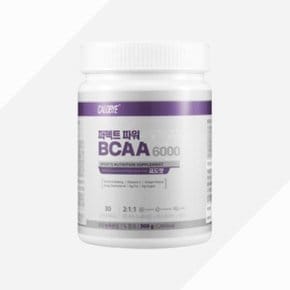 칼로바이 퍼펙트 파워 BCAA 6000 단백질 보충제 프로틴 파우더