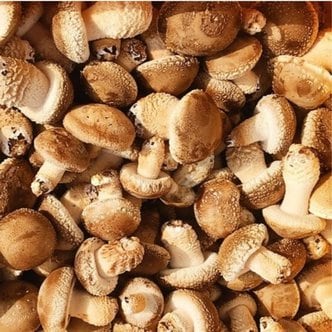  충남부여 무농약 친환경 송화고버섯 (가정용/산지직송) 1kg