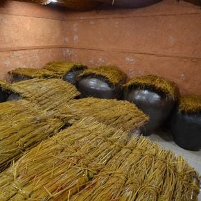 항아리숙성 영산포 홍어 모듬 1kg 칠레