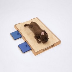 걍침대대리석4 여름나기용 천연 강아지대리석 고양이쿨매트