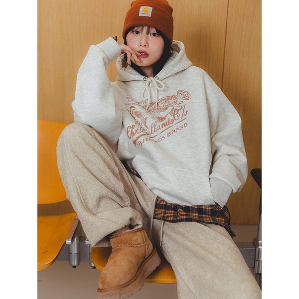 확대된 대표 image9