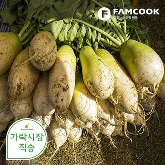 팸쿡 가락시장직송 무 1개