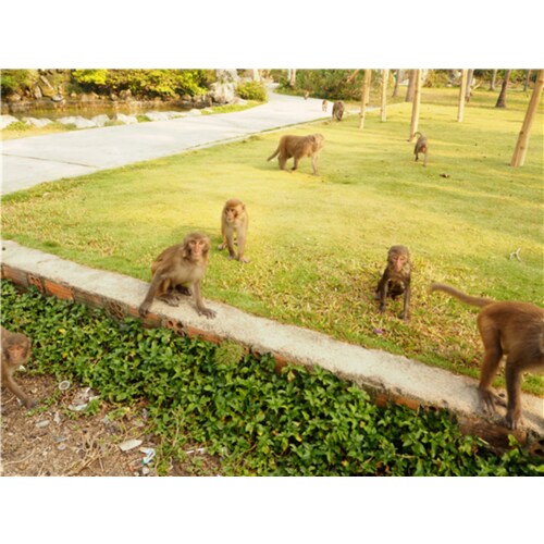 상품이미지8