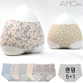 [5+1] 무봉제팬티 빅사이즈 여성속옷 데일리언더웨어