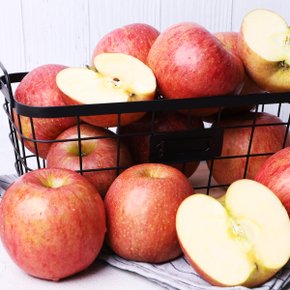 경북 사과 고당도 특품 꿀사과3kg (소과, 15과)