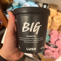 [영국무료배송] 러쉬 빅 샴푸 640g LUSH