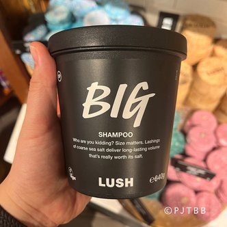 LUSH [영국무료배송] 러쉬 빅 샴푸 640g LUSH