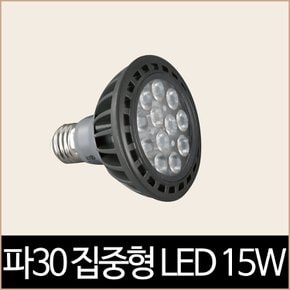 더쎈 파30 집중형 LED 15W 전구색 인테리어 램프