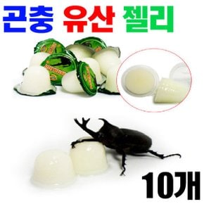 유산 곤충 젤리 16g x10p 장수풍뎅이 사슴벌레 곤충