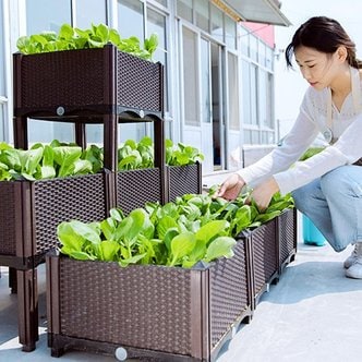 텃밭화분 상추 대파 식물 키우기 베란다텃밭 홈가드닝 플랜트박스