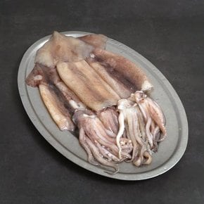 손질 자연산 싱싱한 통오징어 350g 5팩 10마리 (팩당, 2미)